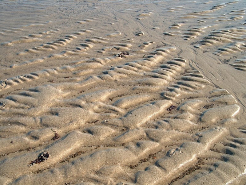 Bottle Cap Memory Game